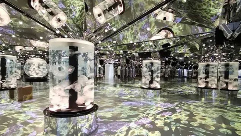 臺(tái)灣 Xpark 水族館，全方位沉浸式暢快游樂(lè)體驗(yàn)