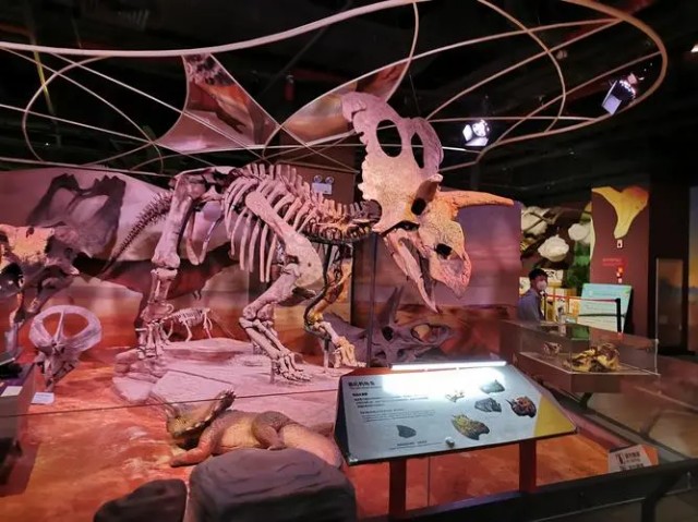 淺析自然科學(xué)博物館設(shè)計要求