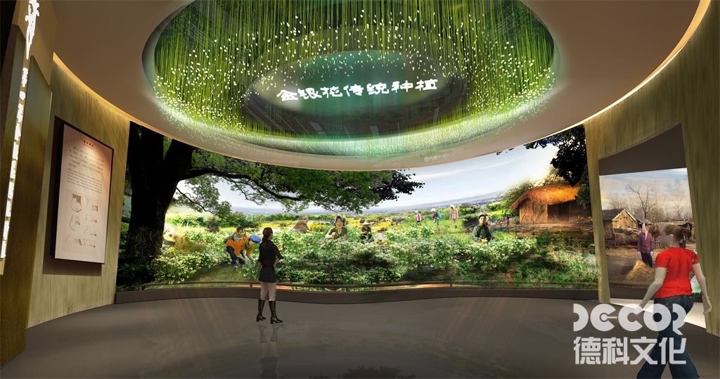 主題展館設計如何考慮場館的可變性和適應性？