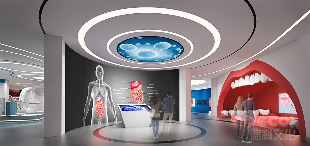 科技館設(shè)計(jì)如何劃分展區(qū)（如物理、生物、航天等）？